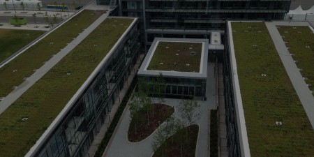 green roof installation