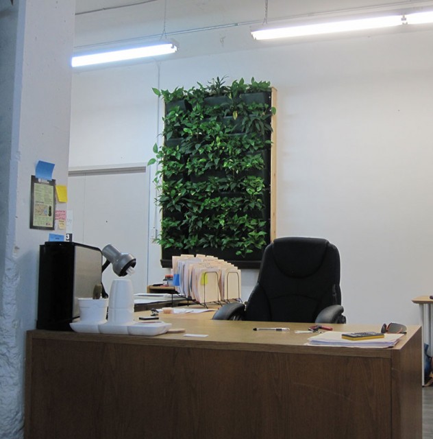 benefits of green walls in workplace