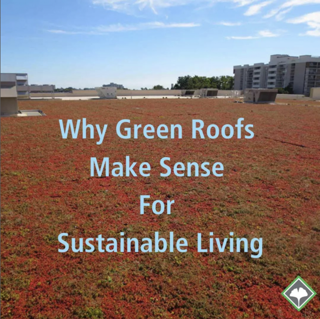 why green roofs make sense for sustainable living text on green roof blog post cover photo