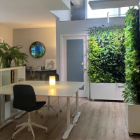 Mobile Green Walls in an Office