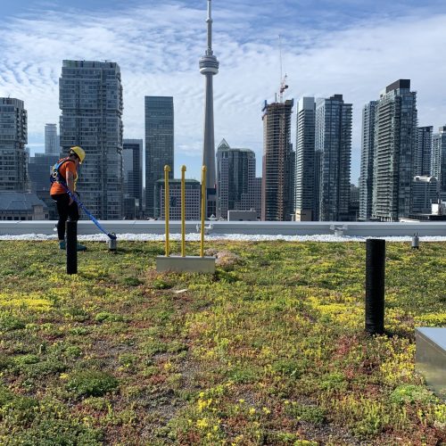 RooftopMaintenance