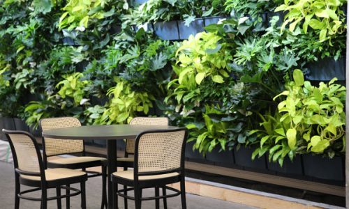 TrentU_Living Wall