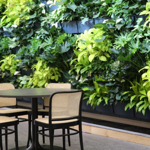 TrentU_Living Wall