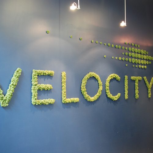 Velocity_Garage-1