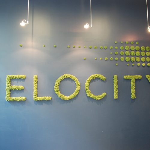 Velocity_Garage-3