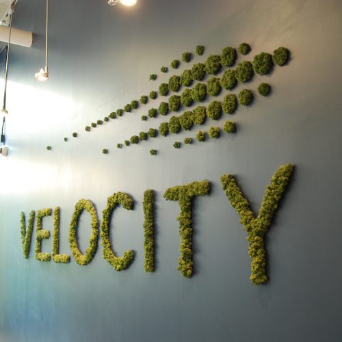 Velocity_Garage-5